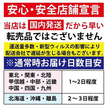 【日本カケンテストセンター認証】99％カット 不織布マスク 50枚 おしゃれ サージカルマスク 大人 マスク 個包装 耳が痛くならない 大きめ 使い捨て いつもの 箱入り 在庫あり プリーツマスク 立体型 業務用 医療用 介護用 大口 大量注文可能