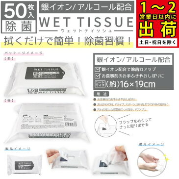 ウェットティッシュ 除菌 携帯用 ウエットティッシュ 50枚 アルコール 除菌シート 日本製テスト機関認証品質 詰め替え ケース 携帯 銀イオン 大判 個包装 業務用 医療用 大量注文可能 アルコールシート アルコール除菌 消毒 蓋 ふた 手拭き おしぼり