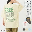 【春夏SALE★40%OFF】ロゴTシャツ / 公式 CUBE SUGAR コットン カットソー バックプリント ビッグ Tシャツ(5色): アメカジ レディー...