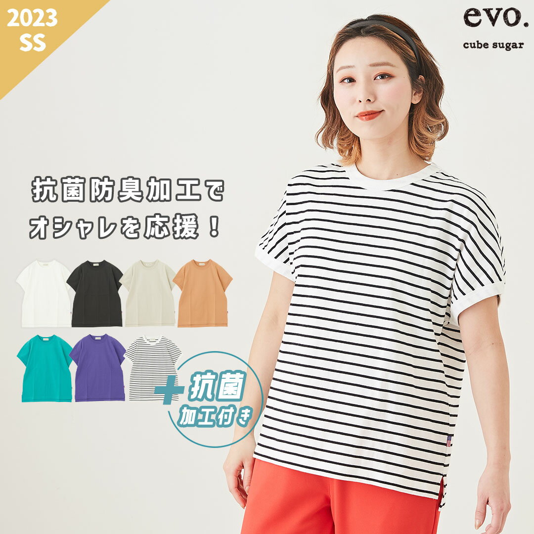 30%OFFۥܡT / cube sugar evo. (塼֥奬) WEB ݲù USåȥ ŷ  ե饤 ե꡼ (7): ǥ ȥåץ T ݼ ̵ Ρ꡼ Ⱦµ ᥫ