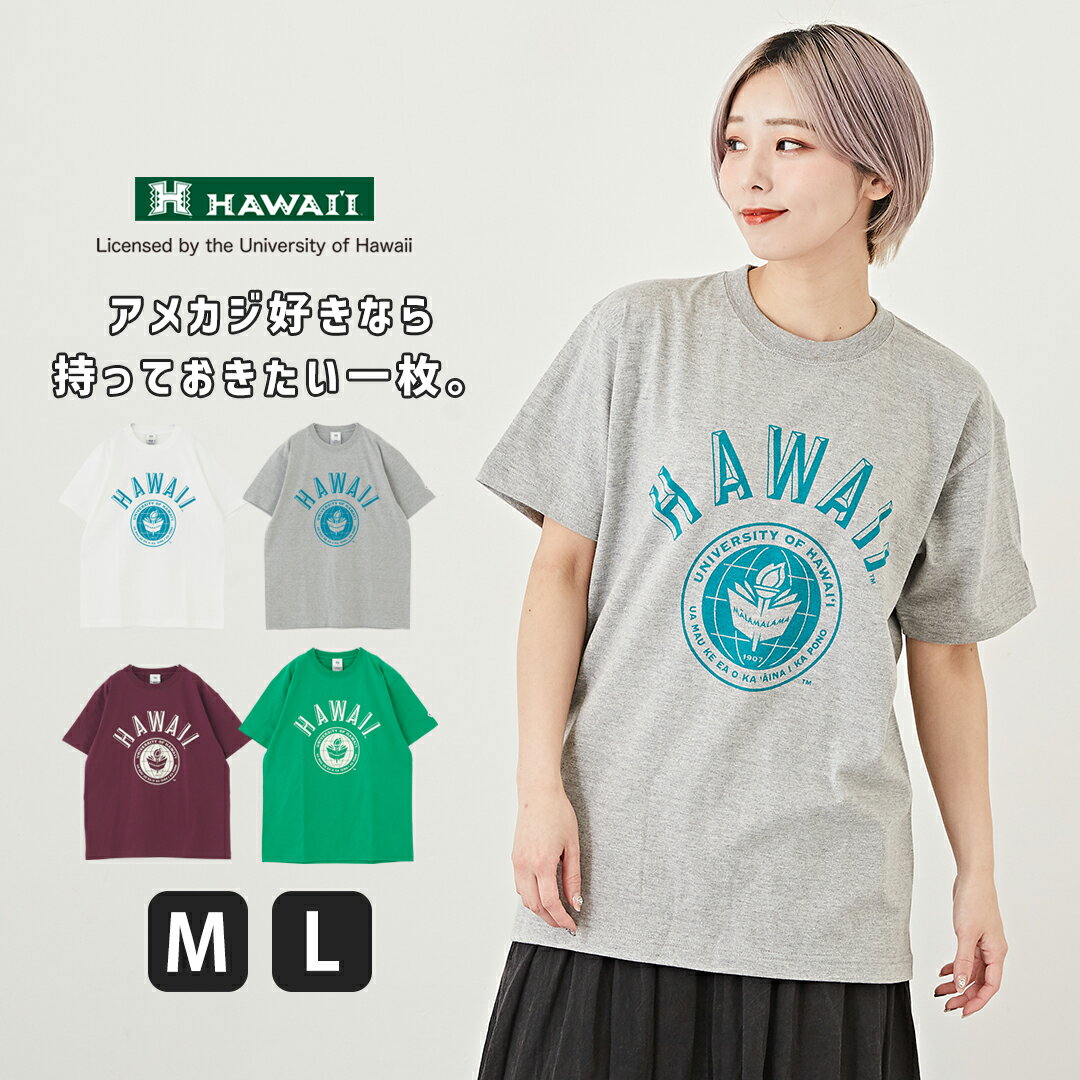 カレッジTシャツ / HAWAII (ハワイ) HAWAII UNIV 半袖 クルーネック カレッジロゴ Tシャツ ユニセックス (4色)(M/L): アメカジ レディース トップス Tシャツ カットソー ロゴTシャツ 男女兼用 いろいろサイズのサムネイル