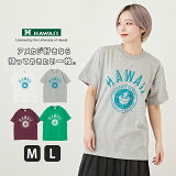 åT / HAWAII (ϥ磻) HAWAII UNIV Ⱦµ 롼ͥå å T ˥å (4)(M/L): ᥫ ǥ ȥåץ T åȥ T ˽ 