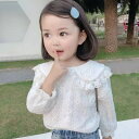キッズ ビックカラーレースブラウス 韓国子供服 90cm~130cm