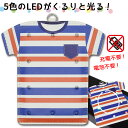 楽天生活雑貨と手芸用品　AND M SHOPLED光るパスケースTシャツ型10灯 ボーダー メール便送料無料 電池充電不要