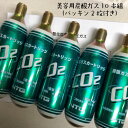 セール対象【プロージョン用10本】美容用 炭酸ガス 炭酸ガスカートリッジ 74g×10本+パッキン付き