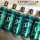 セール対象【プロージョン用10本】美容用　炭酸ガス　炭酸ガスカートリッジ 74g×10本+パッキン付き