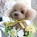 【オーダーメイド/プードル】ペットそっくりのお人形【プードル】 うちの子トピアリー作家の『コイズミマサコ』の作品。ウェルカムドッグ 両親へのプレゼントにお誕生日...