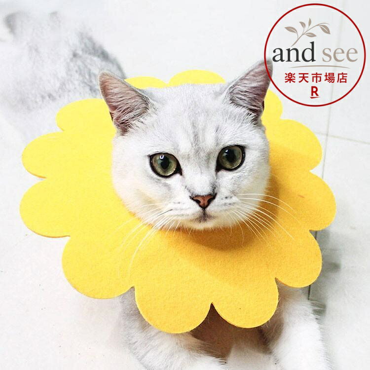 エリザベスカラー エリカラ 犬用　猫用 ペット用品　術後保護 介護 手術服 抗菌消臭 術後服 傷舐め 足舐め 引っかき防止 傷口 皮膚炎症 用 美容