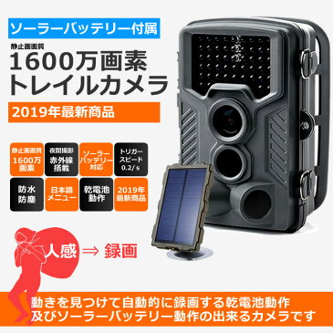 トレイルカメラ ソーラー 工事不要 家庭用 太陽電池式 防犯カメラ ワイヤレス sdカード録画 家庭用 1600万画素 高画質 AV-TR8MP-sl