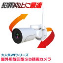 防犯カメラ sdカード録画 ドーム型 248万画素 PTZ パンチルト 屋外 家庭用 防水 高画質 ワイヤレス AV-WF200WPPTZ WFシリーズ 36TF