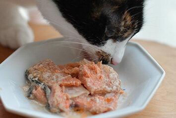 日本のみのり 銀さけ中骨缶100g 純国産 無添加 鮭 犬猫 缶詰 ペットフード ウェット 魚 サンユー研究所 ドッグフードキャットフード 国産こだわりペットフード 3