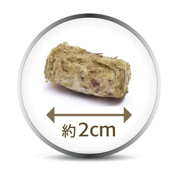 k9natural K9ナチュラル フリーズドライ ビーフグリーントライプ 9g x 10袋 試しパ...
