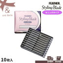 \ 送料無料 即日出荷 / 替刃 * フェザー スタイリングブレイド セニングタイプ * 10枚入 TG-10 TG10