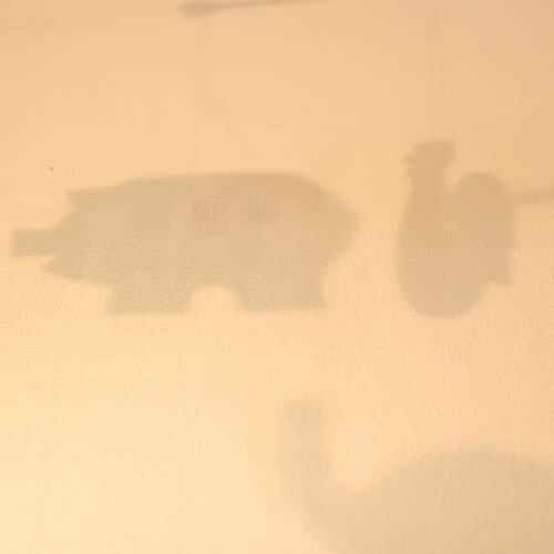 ������ӡ���֤ͤ��ȿȶ��ưʪ������ [No.502/Haustiere]