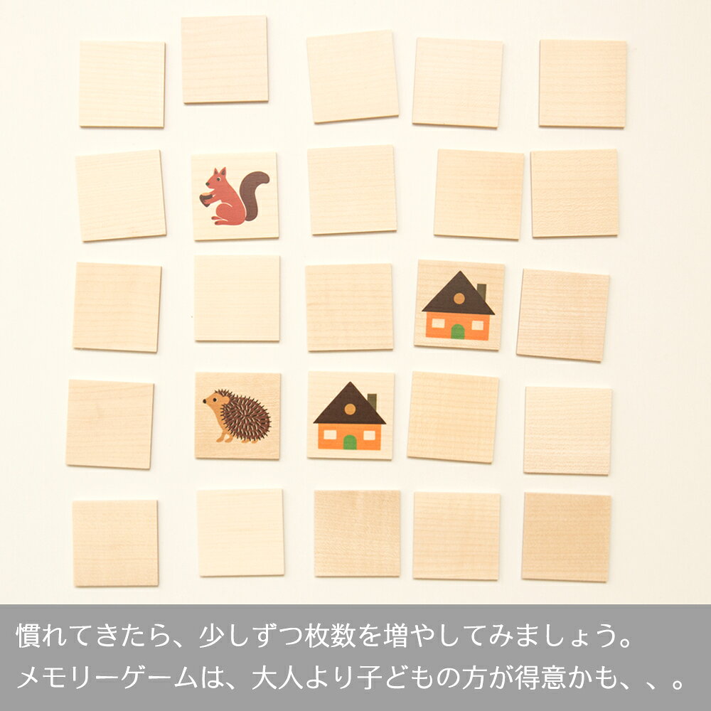 海外輸入 キーナーメモリー 神経衰弱ゲーム Kiener キーナー社 格安 Lgbthistorymonth Com