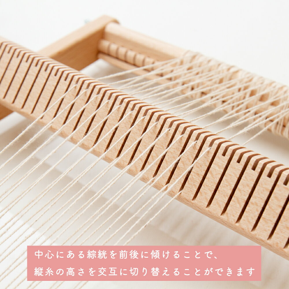 ���꤭ ���굡 ���ͥ�/Ines�ڿ�����DVD���������դ��ۡڥɥ�����������忥����