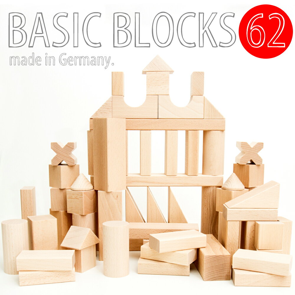 セレクタブロックス 基本積み木スターターセット（大）【送料無料】【SELECTA/セレクタ】