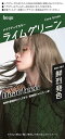 ヘアカラー ビューティーンメイクアップカラー ライムグリーン 1個 (x 1)