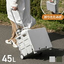 《最大50%OFFクーポンSALE／20時~P5倍》 AND・DECO OUTDOOR キャリーカート 軽量 折りたたみ 超コンパクト カート 折りたたみキャリーカート 踏み台 イス 台車 コンパクトキャリーカート 折り畳み台車 アウトドア キャリーボックス アウトドア アンドデコ モダンデコ