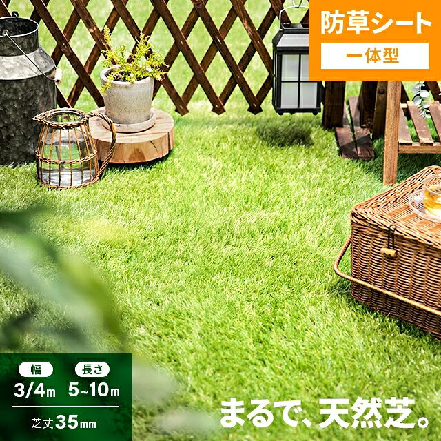 【メーカー欠品中 / 2026年3月19日出荷予定】クローバーターフ あそびタイプ CTA30 1本 PAEグローバル 芝丈30mm 幅2m×10m 人工芝 個人宛・現場入れ配送不可