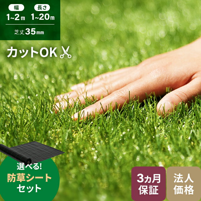 【事業者限定 特別価格】人工芝 高耐久 芝丈 35mm 1×1m 1×5m 1×10m 2×5m 2 ...