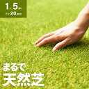 《最大50 OFFクーポンSALE／12時~P5倍》 人工芝 ロール 1m×5m 芝丈20mm 送料無料 人工芝 芝生マット 人工芝生 人工芝マット 人工芝ロール 芝生 ロールタイプ 固定ピン 庭 ベランダ テラス バルコニー ガーデニング ガーデン 屋上緑化 u字ピン 水はけ モダンデコ