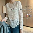 P5倍&セット購入で10%OFFクーポン 【送料無料】tシャツ レディース カットソー トップス ブラウス 長袖 レースシャツ 総レース 花柄 レースtシャツ ...
