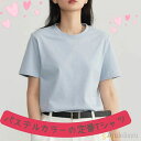最大15%OFFクーポン 【送料無料】Tシャツ パステルカラートップス レディース カットソー オールシーズン 淡色コーデ 裾イン 半袖 クルーネック 丸首 ラウンドネック