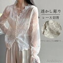 【本日P5倍&100円OFFクーポン】シャツ 刺繍 春夏 長袖ブラウス 長袖シャツ Vネック 可愛い 無地 総レース レース切替シャツ 透け感シャツ 刺繍シャツ レース カーディガン 羽織り 刺繍ブラウス
