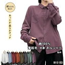 【本日P5倍&100円OFFクーポン】微起毛 シャツ ネルシャツ レディース 秋 冬 ピーチ起毛 長袖シャツ レギュラー衿 コットン ブラウス 秋 冬 梅春 薄起毛 柔らか ソフト 無地 長袖 天然素材 白