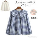 【本日P5倍&100円OFFクーポン】ギンガムチェック フリル ブラウス レディース フリル衿 大きな衿 無地 ギンガム コットン シャツ ポプリン ゆったりサイズ 長袖 フリル ギンガムチェック