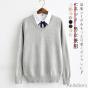 【送料無料】春秋 メンズ 制服 中学生 通学 無地 高校生 長袖 女子 高校生 学生服 学生服 通学 Vネック レディース スクールセーター ゆったり