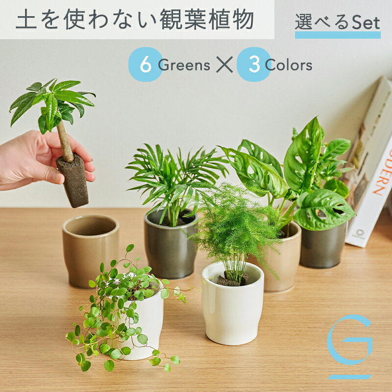 楽天市場】観葉植物 セット（観葉植物｜花・観葉植物）：花・ガーデン
