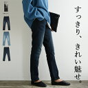 【クーポンで1945円 4/14 11:59まで】スキニーパンツ レディース デニム フィットデニムパンツ スキニー ジーンズ Gパン ジーパン レギパン 春夏秋冬 綿混 フィット すっきり スリム 美脚 ストレッチパンツ 伸縮性 M L LL 3L 4L メール便10