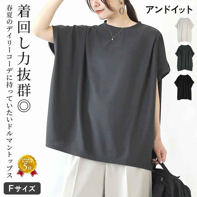 トップス レディース タック ドルマン 半袖 涼感 big 大きめサイズ ゆったりサイズ 普段着 シンプル カジュアル 大人…