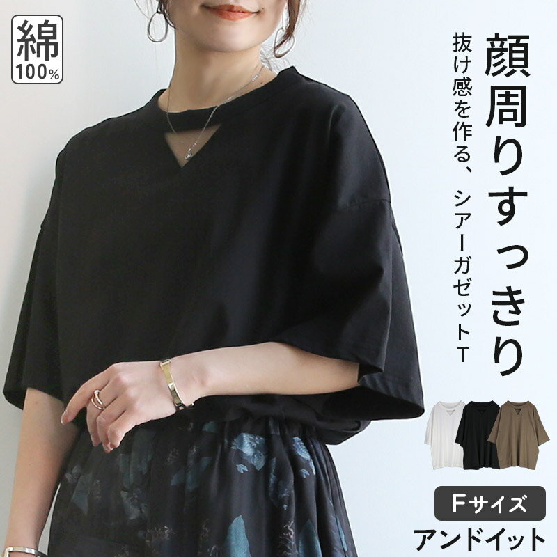 樂天商城 - カットソー レディース シアー ガゼットTシャツ トップス tシャツ 半袖 五分袖 綿100% コットン トレンド 抜け感 お洒落 上品 きれいめ ゆったり 楽ちん ラフ 二の腕隠し 二の腕カバー 体型カバー オフホワイト ブラック ブラウン 春 夏 F メール便5