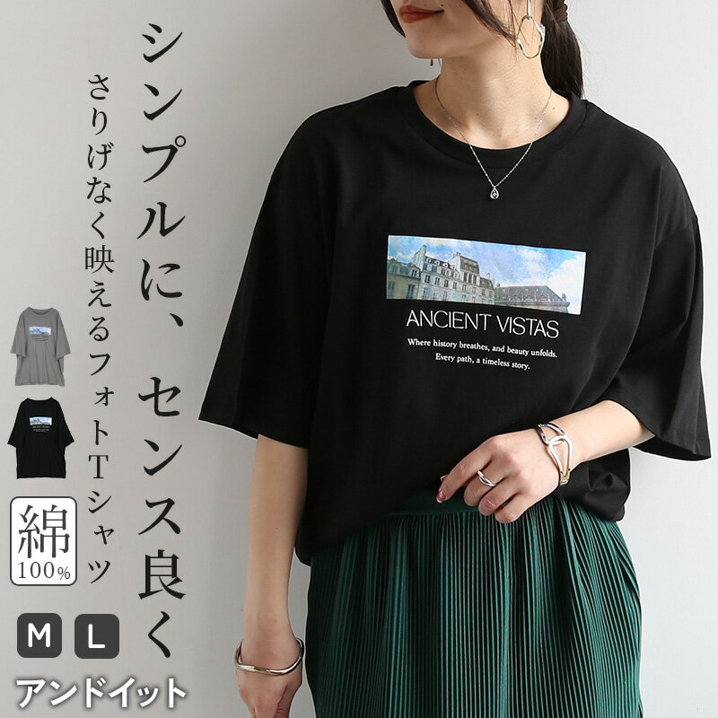Tシャツ レディース プリントTシャツ トップス ティーシャツ 半袖 半そで フォトプリント ロゴ シンプル カジュアル …