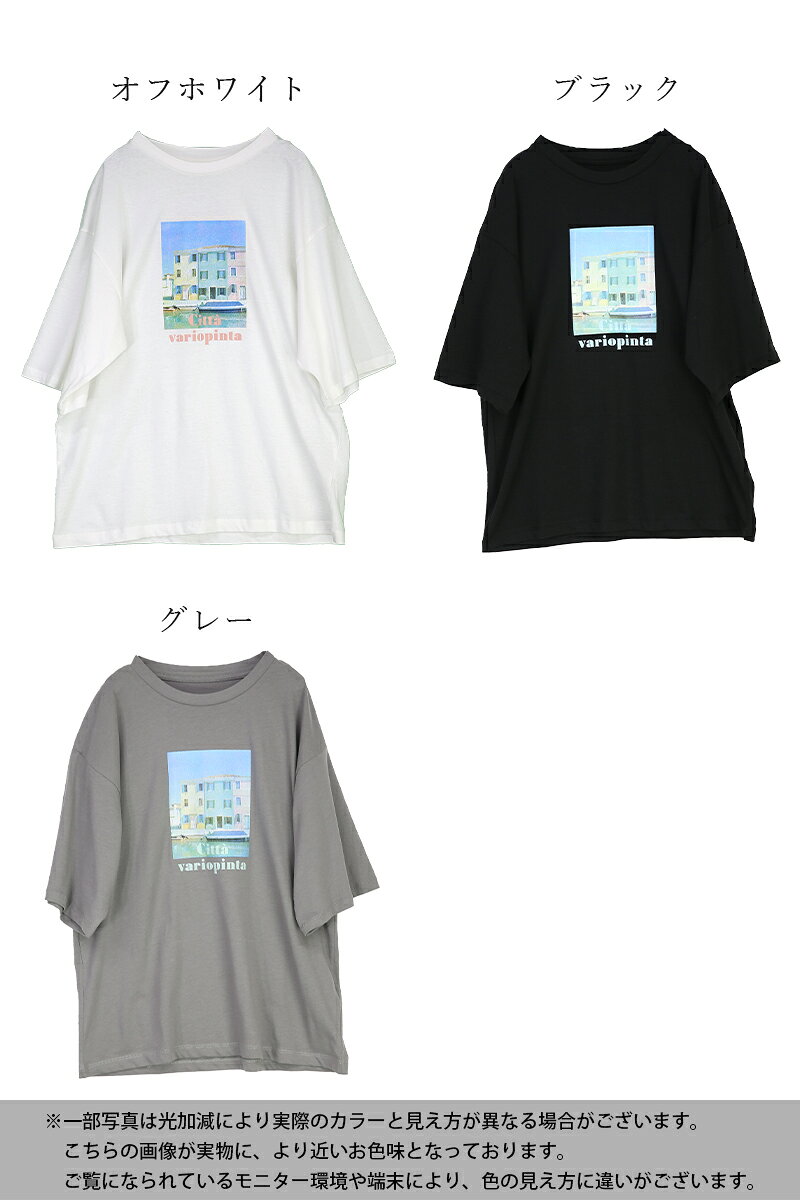 Tシャツ レディース 半袖 クルーネック フォト ロゴ ロゴT フォトプリント カットソー レディースファッション カジュアル シンプル 春 夏 サマー 着回し オフホワイト グレー ブラック M L メール便5 andit-10028342 アンドイット (and it_) サンプル画像2