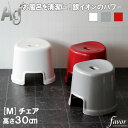 【レビュー特典】 フェイヴァ/favor 〔 Ag抗菌 風呂イスM 〕 風呂いす 風呂椅子 30cm バスチェア お風呂 いす イス 椅子 バスグッズ 銀イオン...