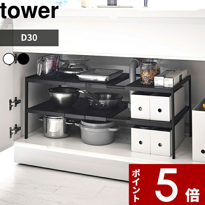 ڥӥ塼ŵ  ¶ ̥󥯲å 2  D30  tower ץ å ê Ǽ 󥯲 å ...