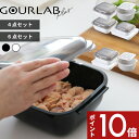 【レビュー特典】 iwatani 〔 グルラボプラス スタンダード / アドバンス 〕 レンチン 電子レンジ 調理器 容器 レンジ調理 レンジで焼き魚 魚焼き器...