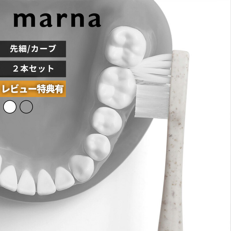 【レビュー特典】 〔 マーナ fit ハブラシ 先細/カーブ 2本セット 〕 marna 歯ブラシ はぶらし 磨きやすい 先細毛 カーブ毛 やわらかめ すき間 ...