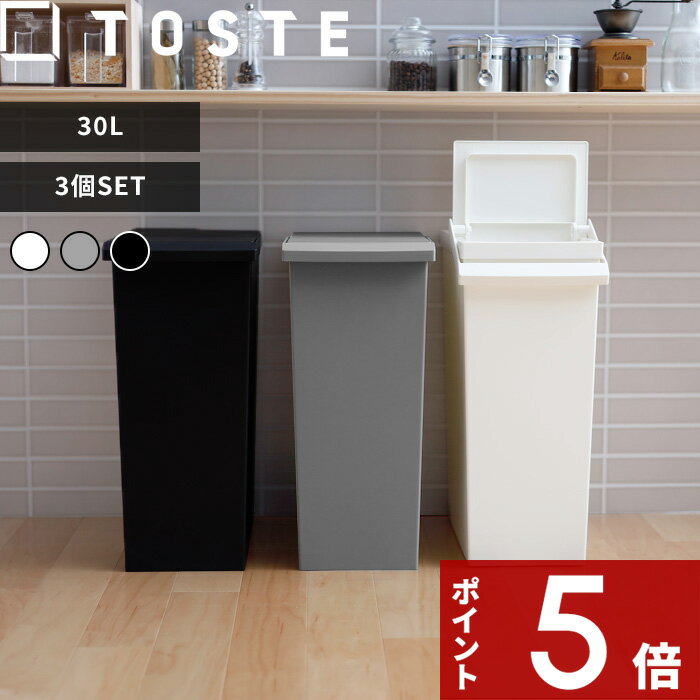  TOSTE「トステ レバーオープン 30L 3個SET」 セット SET 3個組 30リットル キッチン カウンター デスク下 棚下 収納 ゴミ箱 ごみ箱 ごみ ふた付き 蓋付き 蓋つき フラップ プッシュオープン 分別 ゴミ袋 袋止め おしゃれ リス RISU