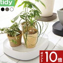 【レビュー特典】 tidy 〔 Plantable 〕 プランタブル キャスター付き鉢皿 ブラック ブラウン ホワイト キャスター付き 鉢台 鉢皿 受皿 受け皿...