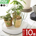 〔レビュー投稿で今治タオル他〕tidy Plantable プランタブル キャスター付き鉢皿 ブラック ブラウン ホワイト キャスター付き 鉢台 鉢皿 受皿 受け皿 台車 トレイ トレー プレート 鉢植え台 …