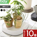 【レビュー特典】 tidy 〔 Plantable 3個セット 〕 プランタブル ブラック ブラウン ホワイト キャスター付き 鉢台 鉢皿 受皿 受け皿 トレイ...