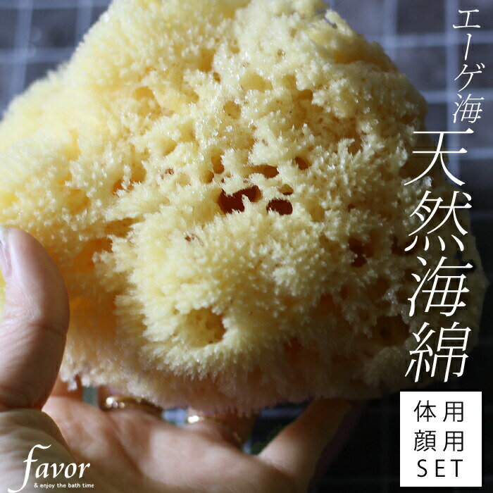 【レビュー特典】 〔 天然海綿セット 〕 エーゲ海産 ボディースポンジ からだ用 ボディ用 顔用 フェイス用 セット 大きいサイズ 海綿スポンジ 海綿 スポンジ...