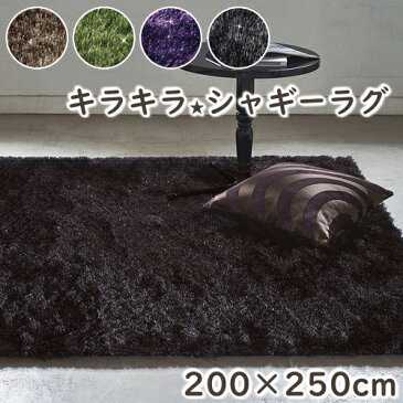 【ポイント12倍★1500円OFFクーポン配布中】 ラグ シック 200×250cm シャギー ラグマット ラグジュアリー リビング プレーベル 北欧 オールシーズン対応 ホットカーペット 床暖房対応 P01 秋冬春夏用 ラグ 秋冬 【】