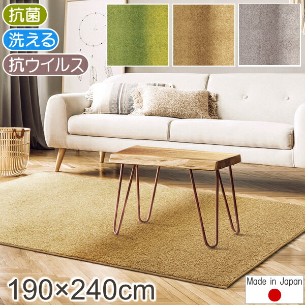 シャギーラグ - ラグ 厚手 ジェミニ 190×240cm 抗ウイルス 抗菌 防臭 防ダニ プレーベル シャギーラグ 日本製 高級 ナイロン 洗える 長方形 P01 ラグマット おしゃれ 春夏秋冬用 ラグ 厚手 グレー 春夏