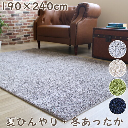 樂天商城 - ラグマット おしゃれ 夏ひんやり冬あったかラグ 190×240cm プレーベル オールシーズン対応 省エネ ラグ ナイロン100% ホットカーペット 床暖房対応 P01 ラグマット 春夏秋冬用
